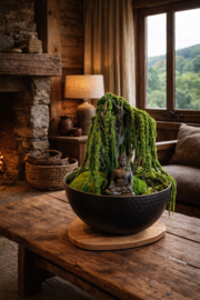 Ovale schaal met Amaranth boom