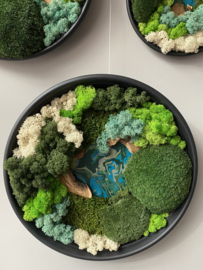 Mosschilderij cirkels