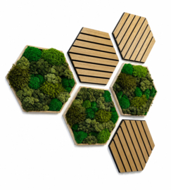 Mosschilderij - Hexagon set van drie
