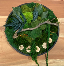 Mosschilderij / rond (38)