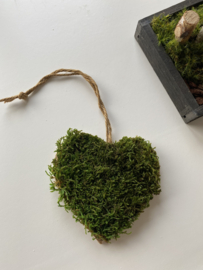 Mosschaal