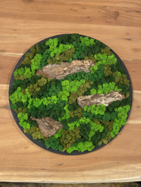 Mosschilderij rond zwart frame