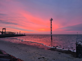 Kwezelworkshopdag 25 november 2026 Vlieland