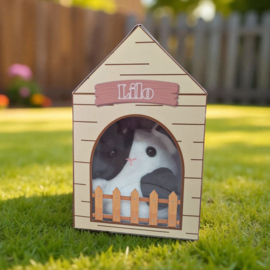 Adopteer LILO