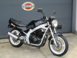 Nette Suzuki GS500E GS500 / GS 500 E Naked Twin b.j. '95 (VERKOCHT!)