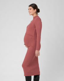 Ripe Maternity - Nella Jurk Rouge