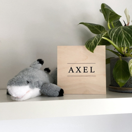 Lightbox | Dubbele lijn