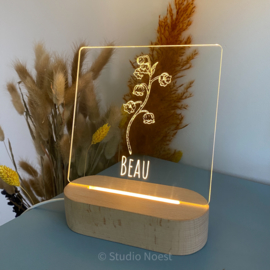 Lampje op basis van je geboortekaartje