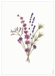 Days of Bloom Poster A3 Lavendel