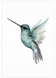 Days of Bloom Poster A3 Kolibri / Hummingbird Jade