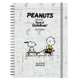 Peanuts Snoopy Bureau Agenda 2025 A5 Wire-O  4Talig