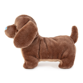 Sausage Dog MBNF - Knuffel Dexter