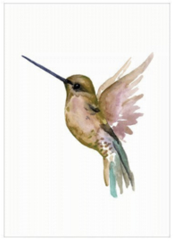 Days of Bloom Poster A3 Kolibri / Hummingbird Gold