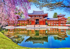 Wooden City Byodo-in Temple, Kyoto, Japan (505 stukjes)