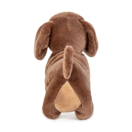 Sausage Dog MBNF - Knuffel Dexter