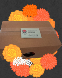Mysterybox