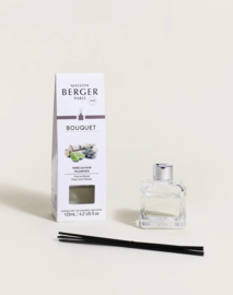 Parfumsticks Terre Sauvage