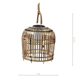 San Carlos Hanging Lamp S