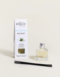 Parfumsticks Eau d’Aloé