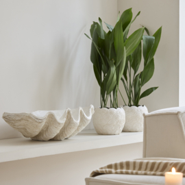Rivièra Maison Shell Planter