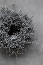 Couronne Asparagus wreath wax 45cm dia dark grey