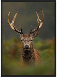 Riviera Maison  Wall Art Nordic Deer 100x140 Acrylic