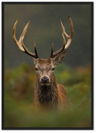 Riviera Maison Wall Art Nordic Deer 100x140 Glass