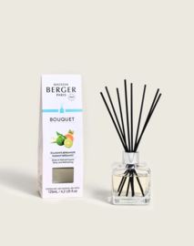 Parfumsticks Éclatante Bergamote