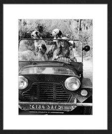 Brigitte Bardot with Dogs