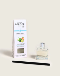 Parfumsticks Éclatante Bergamote