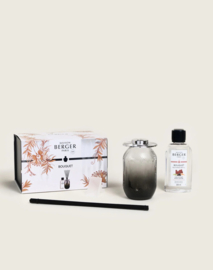 Parfumsticks Evanescence Gris