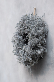 Couronne Asparagus wreath wax 45cm dia dark grey