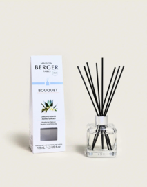 Parfumsticks Jardin d'Agaves