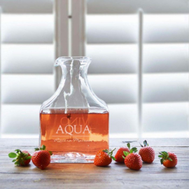 Vino Aqua Decanter