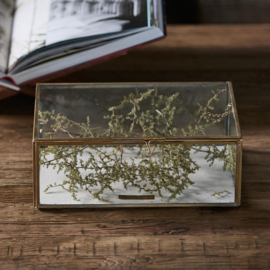 Rivièra Maison Tavant Display Box L