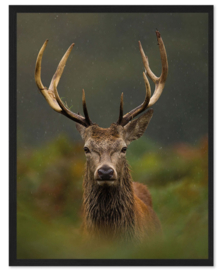 Riviera maison Wall Art Nordic Deer 70x90 Acrylic