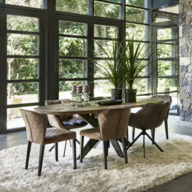 Carnaby Dining Armchair Turning Leg, Pellini Coffee
