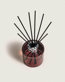 Parfumsticks Joy Jardin d'Agaves