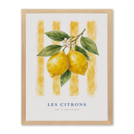Rivièra Maison Wall Art Les Citrons 60x80