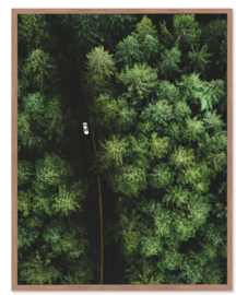 Riviera maison Wall Art Forest Road 70x90 Glass