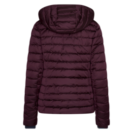 Jack HVPFeline Dark Berry XS