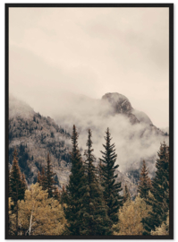 Riviera Maison Wall Art Foggy Woods 100x140 Glass
