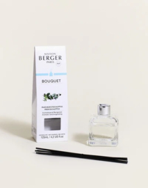 Parfumsticks Fraîcheur d'Eucalyptus