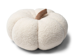Riviera Maison RM Pumpkin Pillow White S Pompoen Kussen Wit S