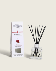 Parfumsticks Pomme Sucrée