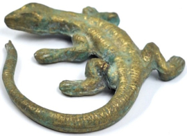 4 messing salamanders