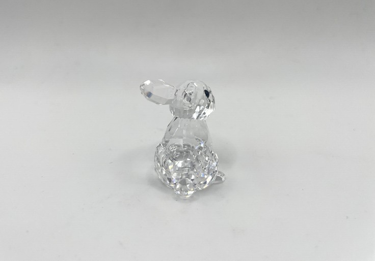 Baby konijn 5135942