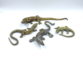 4 messing salamanders