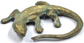 4 messing salamanders