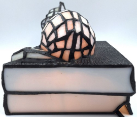 Tiffany stijl tafellamp 'Cat on Books'